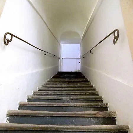 L'acanto *